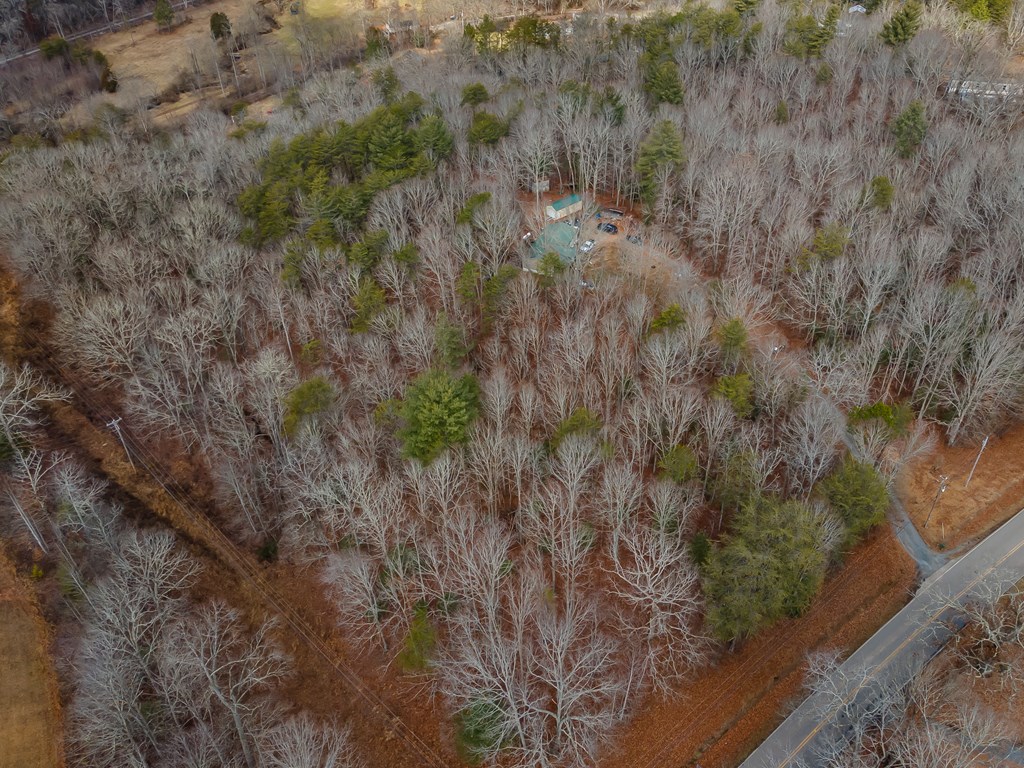 166 Windy Ridge, BLUE RIDGE, Georgia image 4