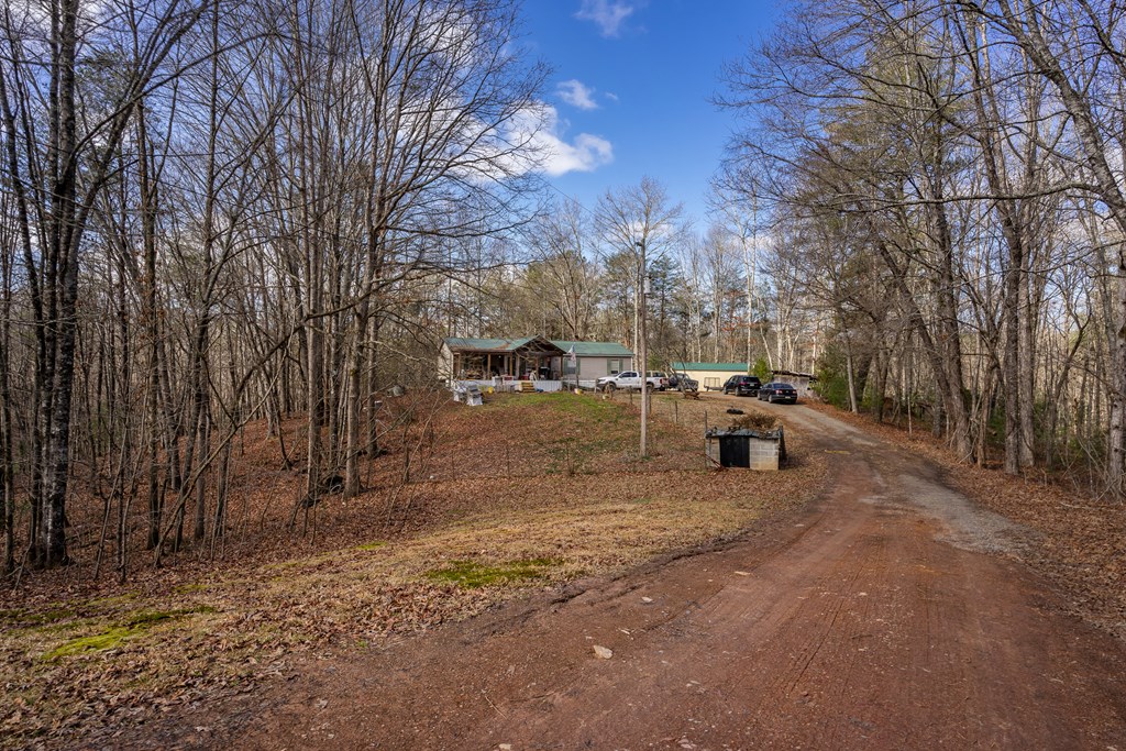 166 Windy Ridge, BLUE RIDGE, Georgia image 7