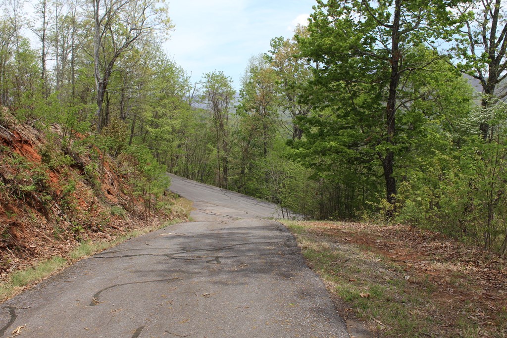 Lot 30B Grandview Drive #30B, HAYESVILLE, North Carolina image 11