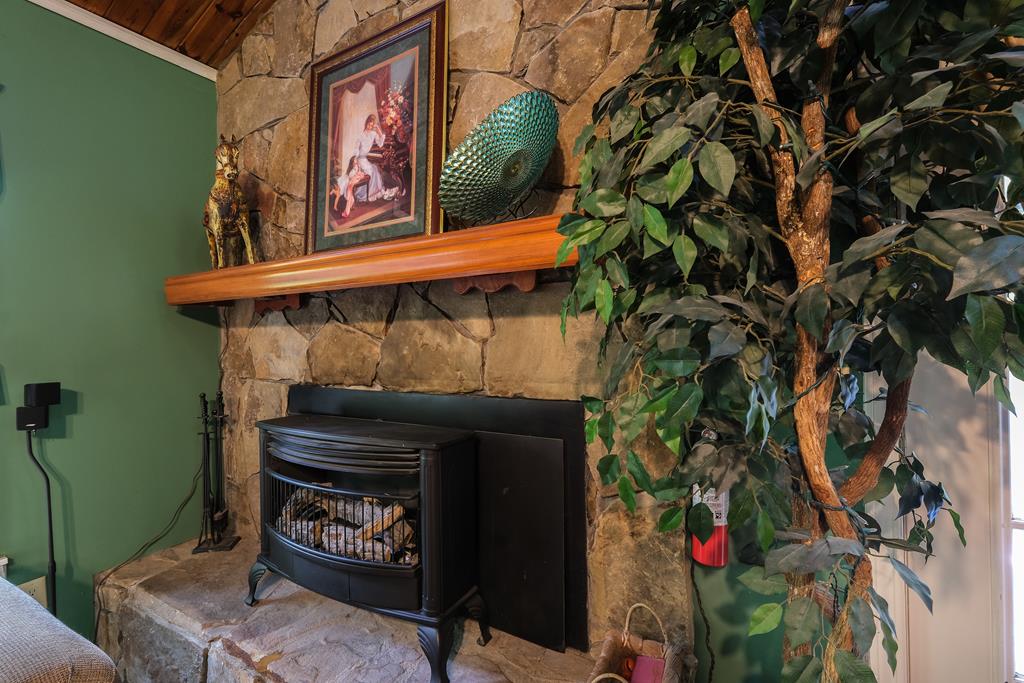131 Hills And Hollows Rd, MURPHY, North Carolina image 4