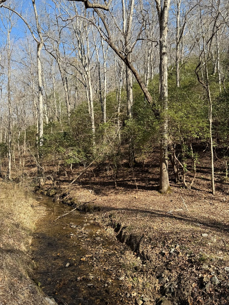 Tract 1 Cherokee Trail, YOUNG HARRIS, Georgia image 4