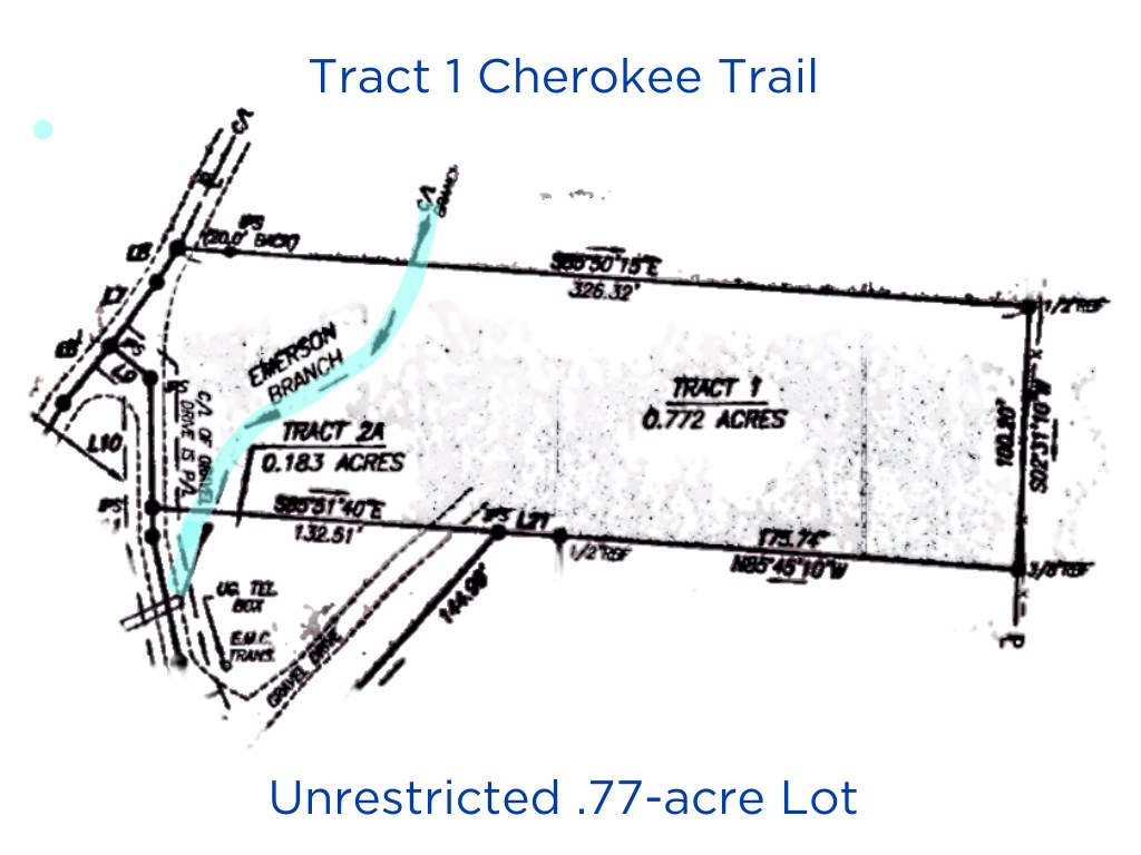 Tract 1 Cherokee Trail, YOUNG HARRIS, Georgia image 3