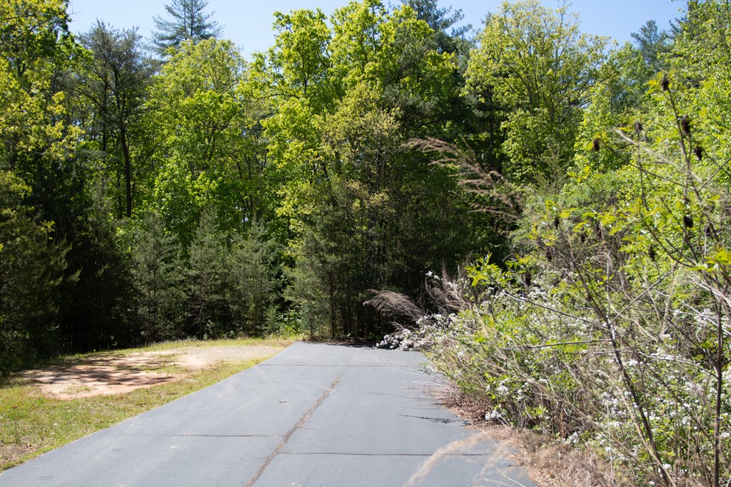 Lot 14 Haley Cierra Drive #14, MURPHY, North Carolina image 3