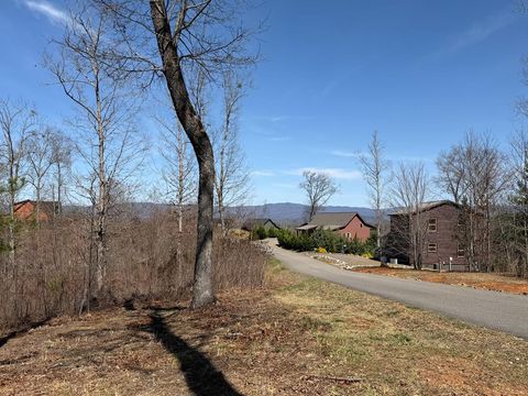 Vacant Land For Sale - LOT 29 Paw Paw Trail #29<br/> MURPHY, NC 28906