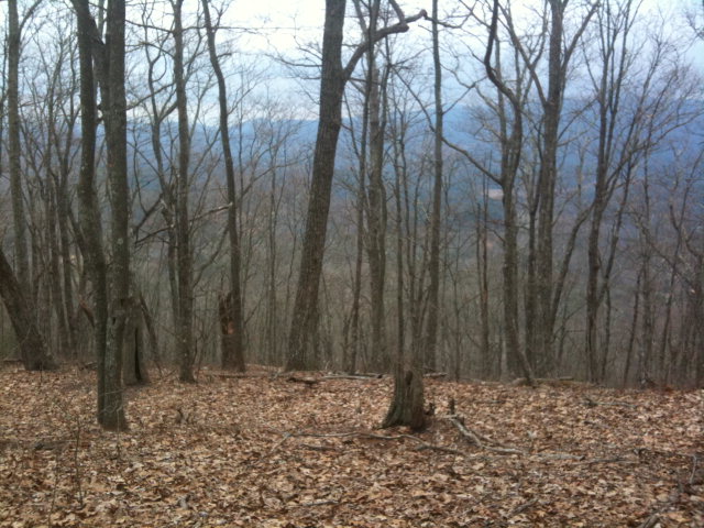 00000000 Damons Mtn. Rd #1,2, MURPHY, North Carolina image 12