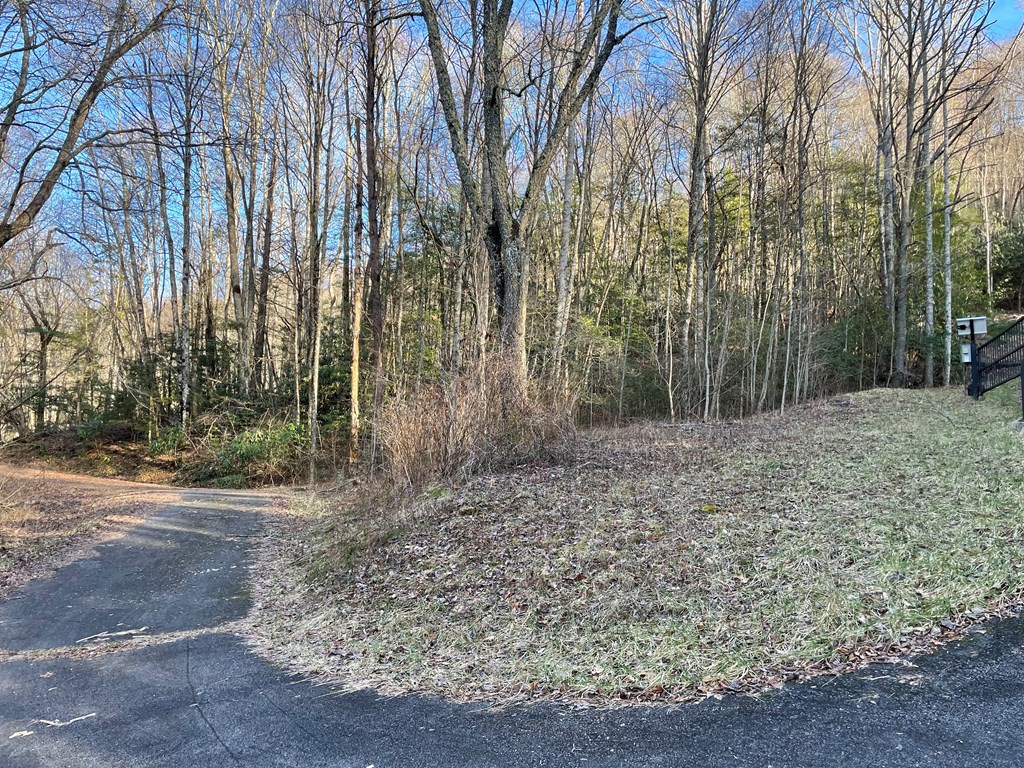 Lot 25 Highlander Rd #25, TOPTON, North Carolina image 4