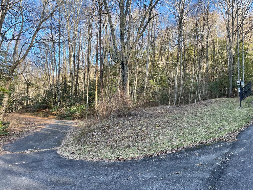 Lot 25 Highlander Rd #25, TOPTON, North Carolina image 1