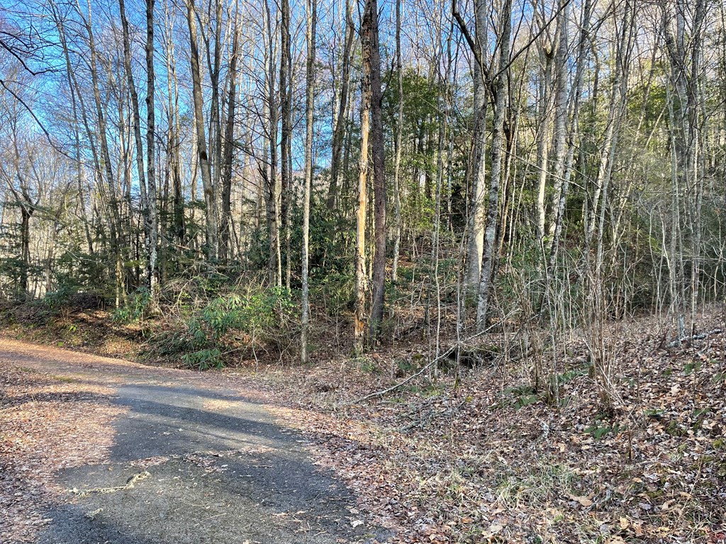 Lot 25 Highlander Rd #25, TOPTON, North Carolina image 5