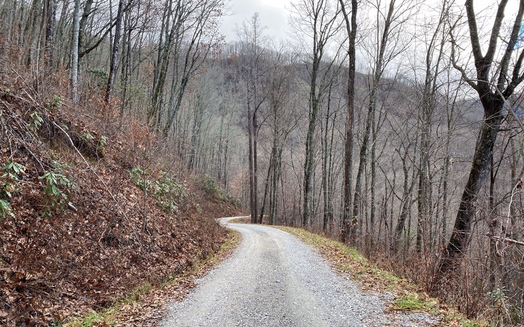 Lot J4 Buck Naked Lane #J4, BRYSON CITY, North Carolina image 6