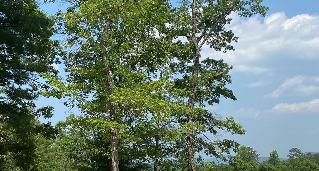 Lot 34 Point Overlook Trail #34, MURPHY, North Carolina image 15