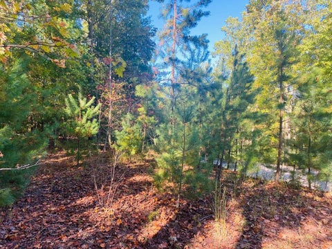 Vacant Land For Sale - LOT 34 Point Overlook Trail #34<br/> MURPHY, NC 28906
