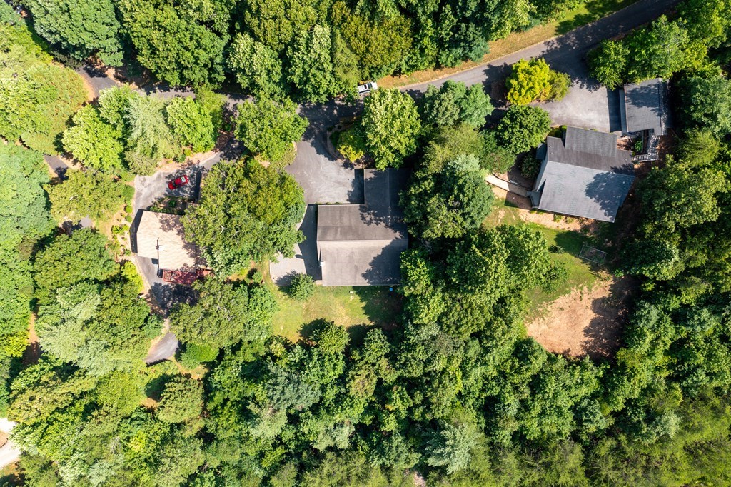 847 Scarletts Way, YOUNG HARRIS, Georgia image 33