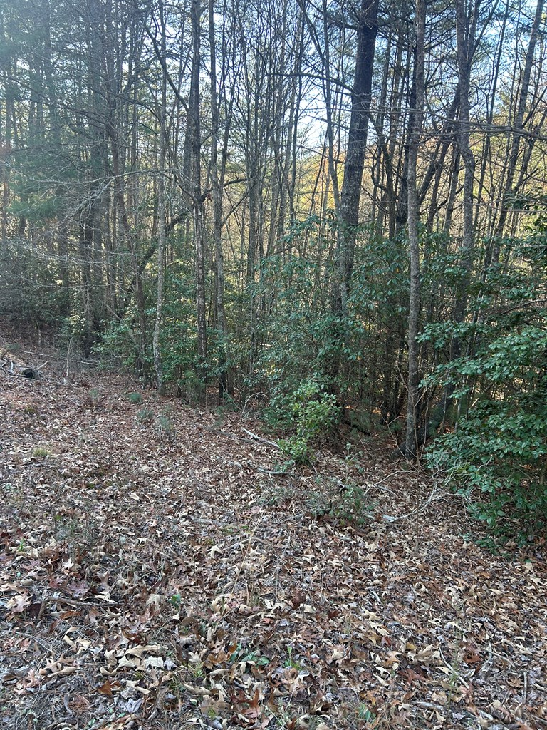 Smokey Hollow Drive #9, MURPHY, North Carolina image 3