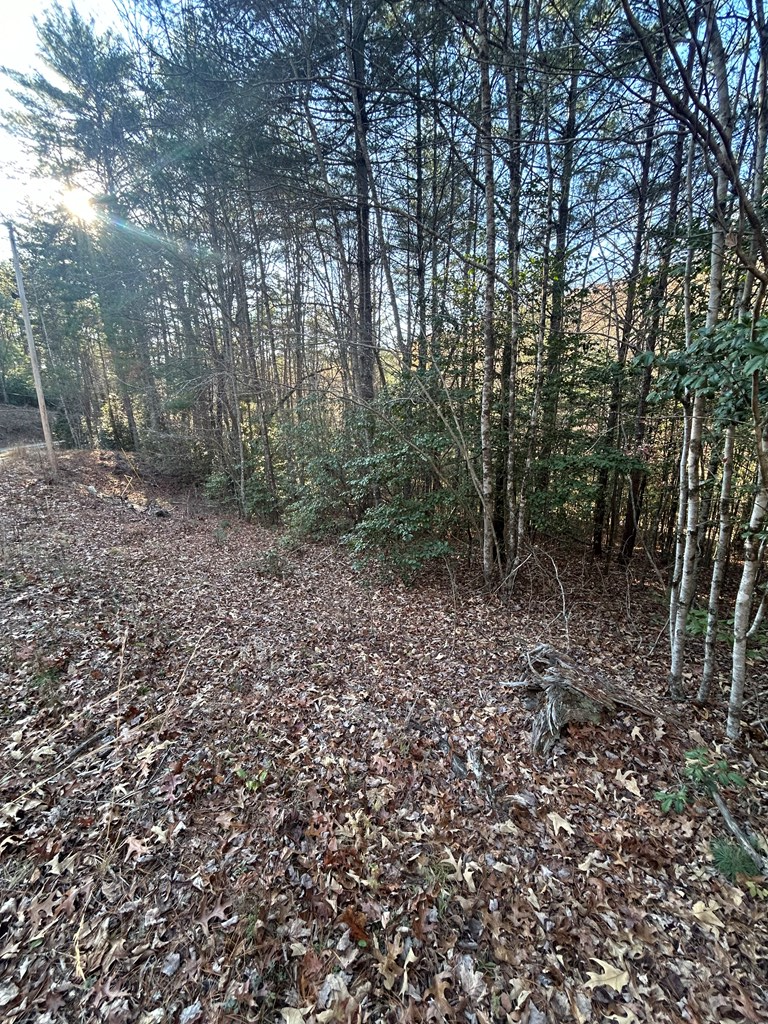 Smokey Hollow Drive #9, MURPHY, North Carolina image 2