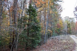 Smokey Hollow Drive #9, MURPHY, North Carolina image 7