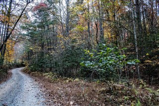 Smokey Hollow Drive #9, MURPHY, North Carolina image 10