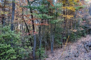 Smokey Hollow Drive #9, MURPHY, North Carolina image 6