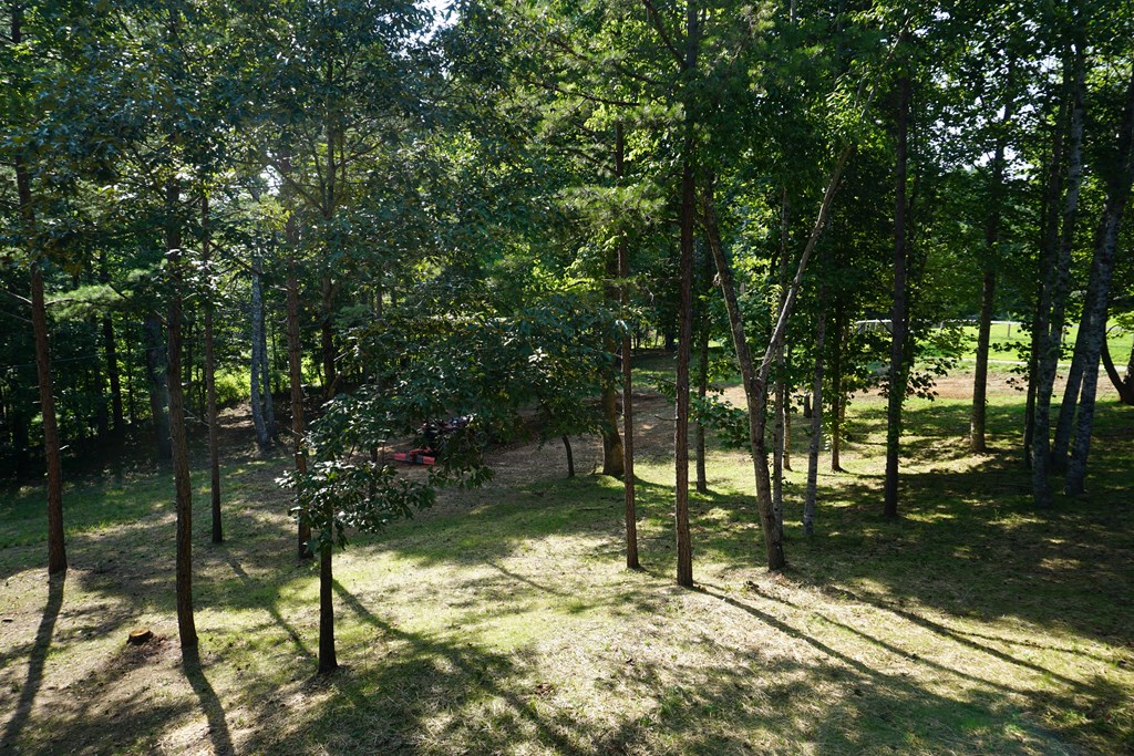 50 Kramers Knob Ln, MURPHY, North Carolina image 34