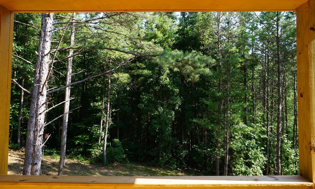 50 Kramers Knob Ln, MURPHY, North Carolina image 32