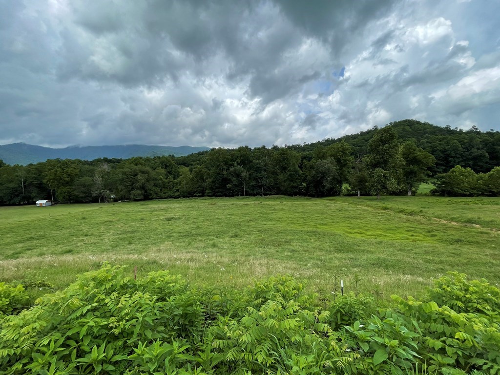 Lot 4B Eagle Fork #4B, HAYESVILLE, North Carolina image 13