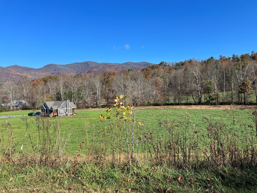 Lot 4B Eagle Fork #4B, HAYESVILLE, North Carolina image 23