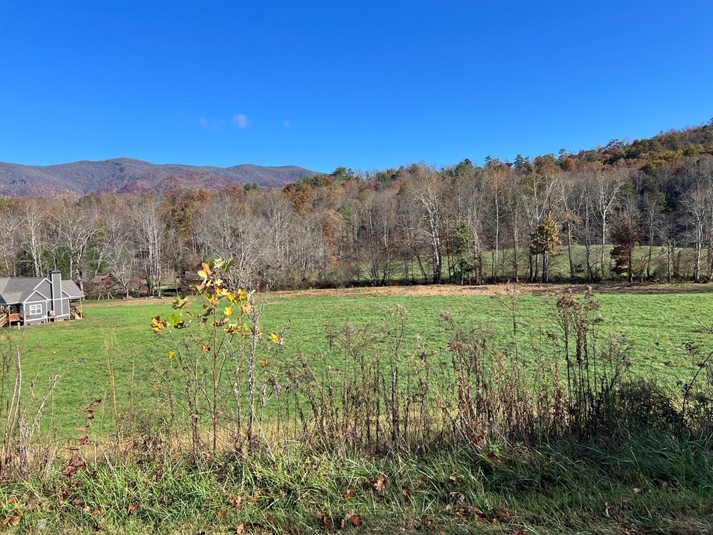 Lot 4B Eagle Fork #4B, HAYESVILLE, North Carolina image 24