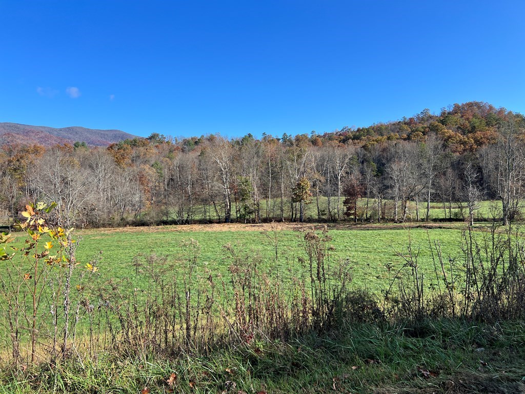 Lot 4B Eagle Fork #4B, HAYESVILLE, North Carolina image 25