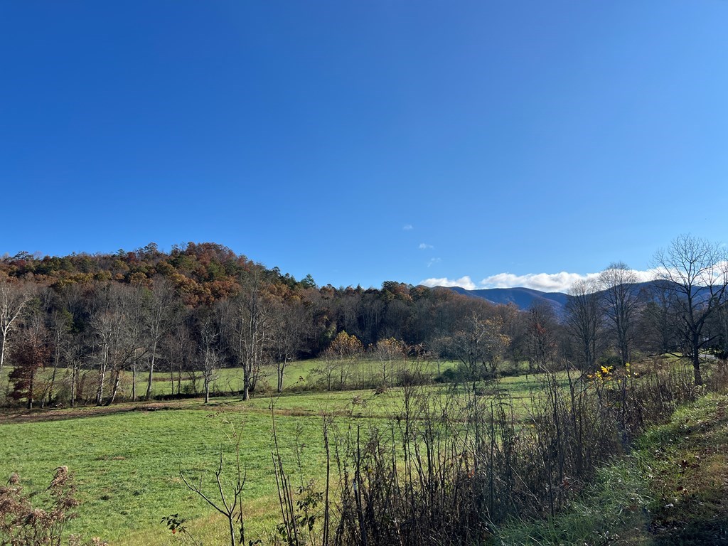 Lot 4B Eagle Fork #4B, HAYESVILLE, North Carolina image 33