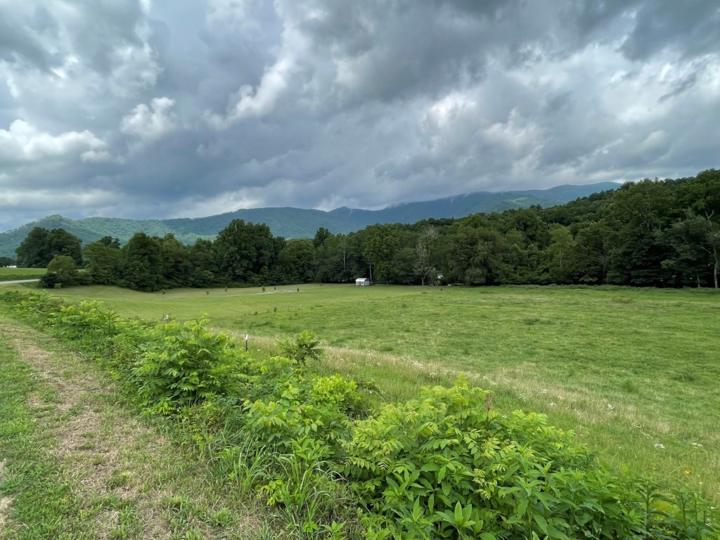 Lot 4B Eagle Fork #4B, HAYESVILLE, North Carolina image 8