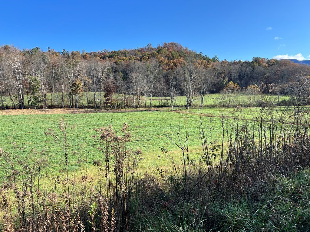 Lot 4B Eagle Fork #4B, HAYESVILLE, North Carolina image 30