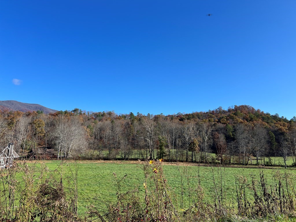 Lot 4B Eagle Fork #4B, HAYESVILLE, North Carolina image 17