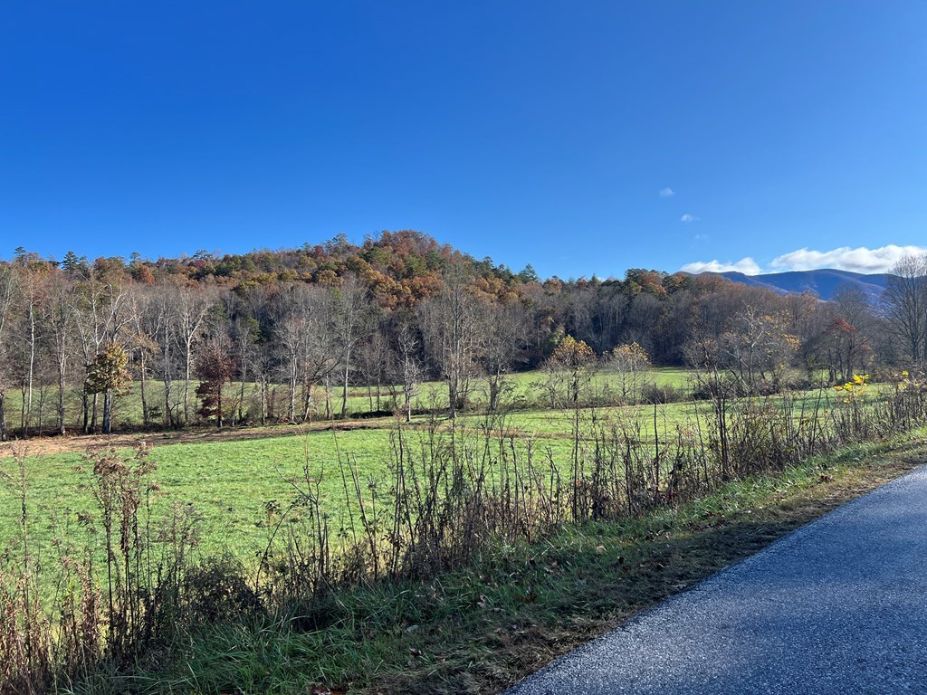 Lot 4B Eagle Fork #4B, HAYESVILLE, North Carolina image 28