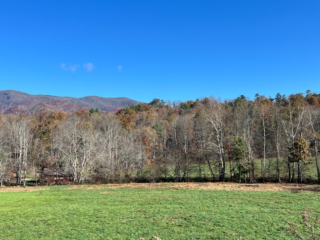 Lot 4B Eagle Fork #4B, HAYESVILLE, North Carolina image 34