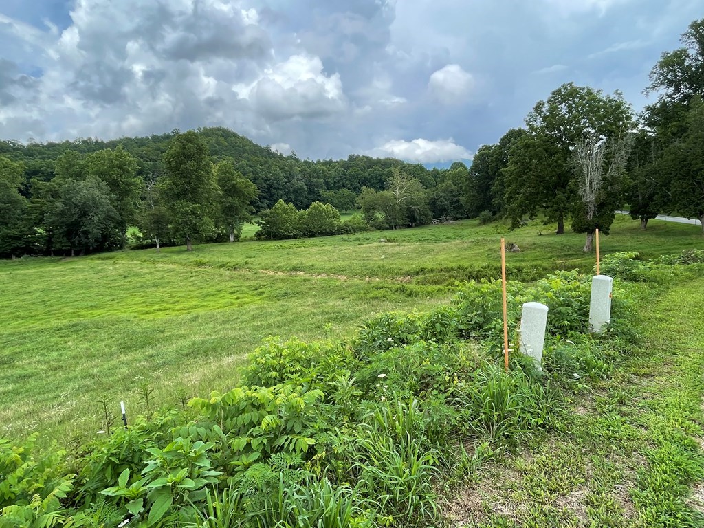 Lot 4B Eagle Fork #4B, HAYESVILLE, North Carolina image 6