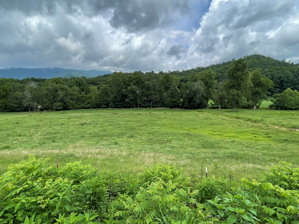 Lot 4B Eagle Fork #4B, HAYESVILLE, North Carolina image 7