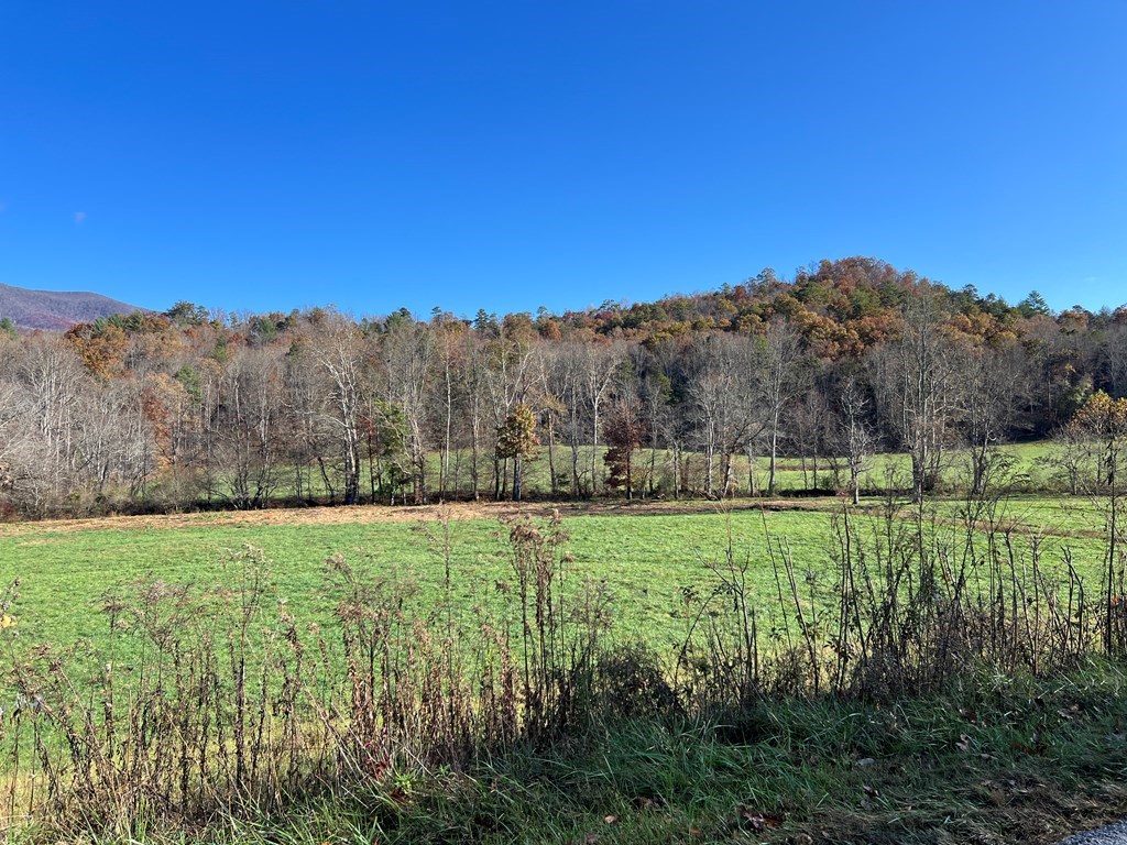 Lot 4B Eagle Fork #4B, HAYESVILLE, North Carolina image 26