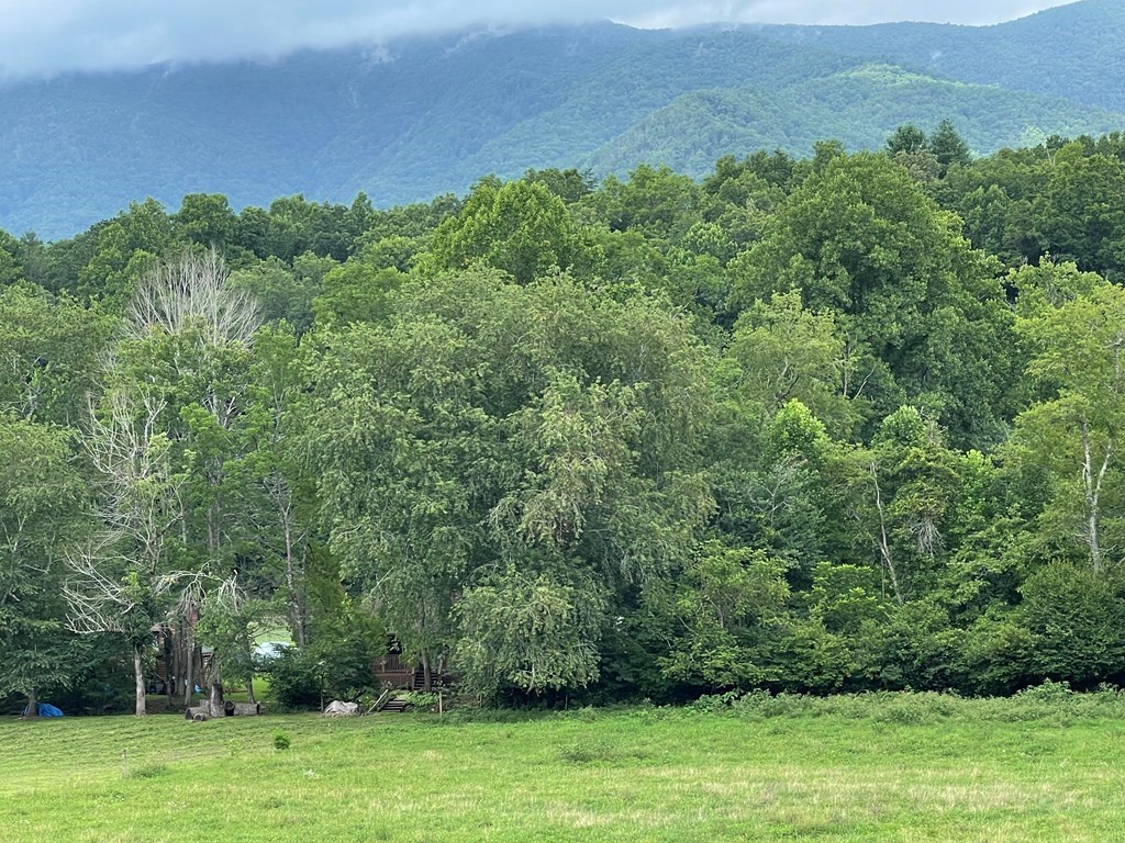 Lot 4B Eagle Fork #4B, HAYESVILLE, North Carolina image 11