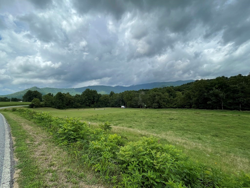 Lot 4B Eagle Fork #4B, HAYESVILLE, North Carolina image 12