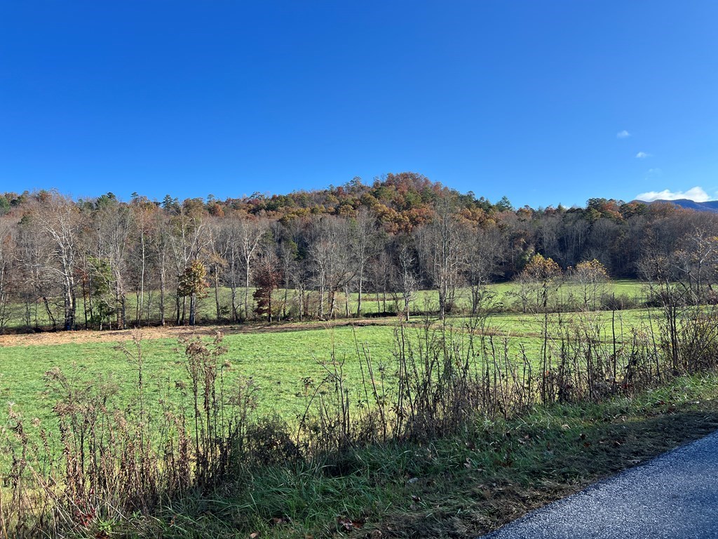 Lot 4B Eagle Fork #4B, HAYESVILLE, North Carolina image 27