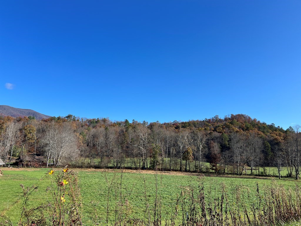 Lot 4B Eagle Fork #4B, HAYESVILLE, North Carolina image 19