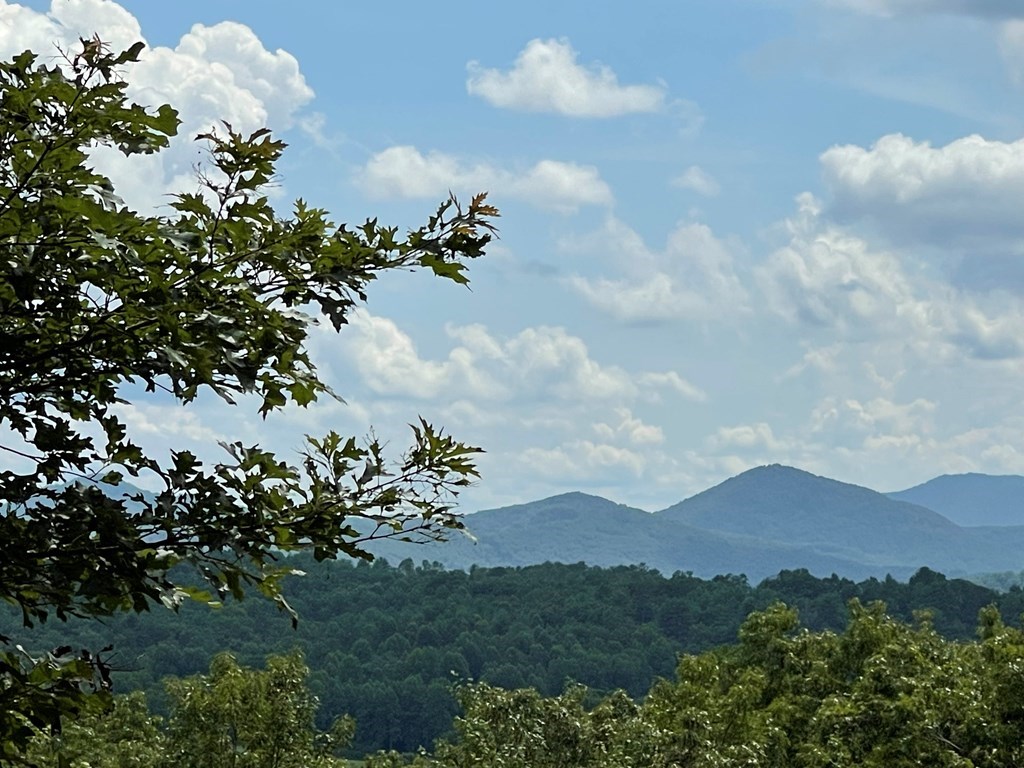 Lot 4B Eagle Fork #4B, HAYESVILLE, North Carolina image 16