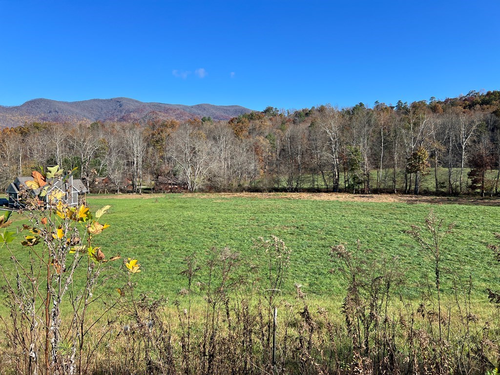 Lot 4B Eagle Fork #4B, HAYESVILLE, North Carolina image 32