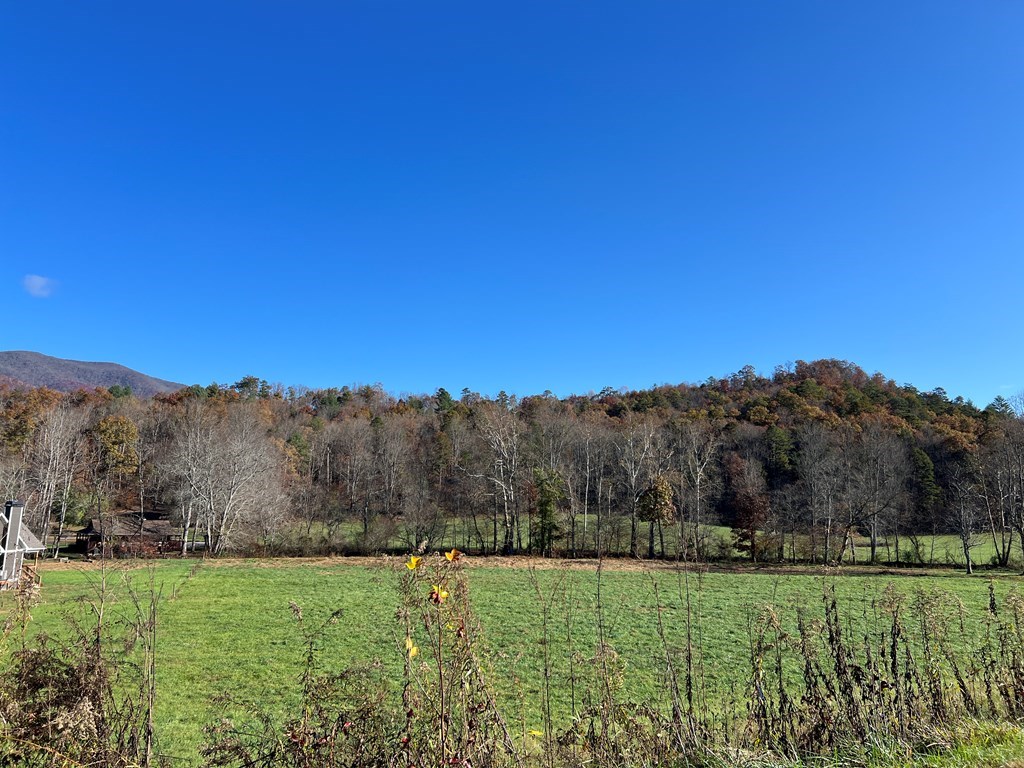 Lot 4B Eagle Fork #4B, HAYESVILLE, North Carolina image 18