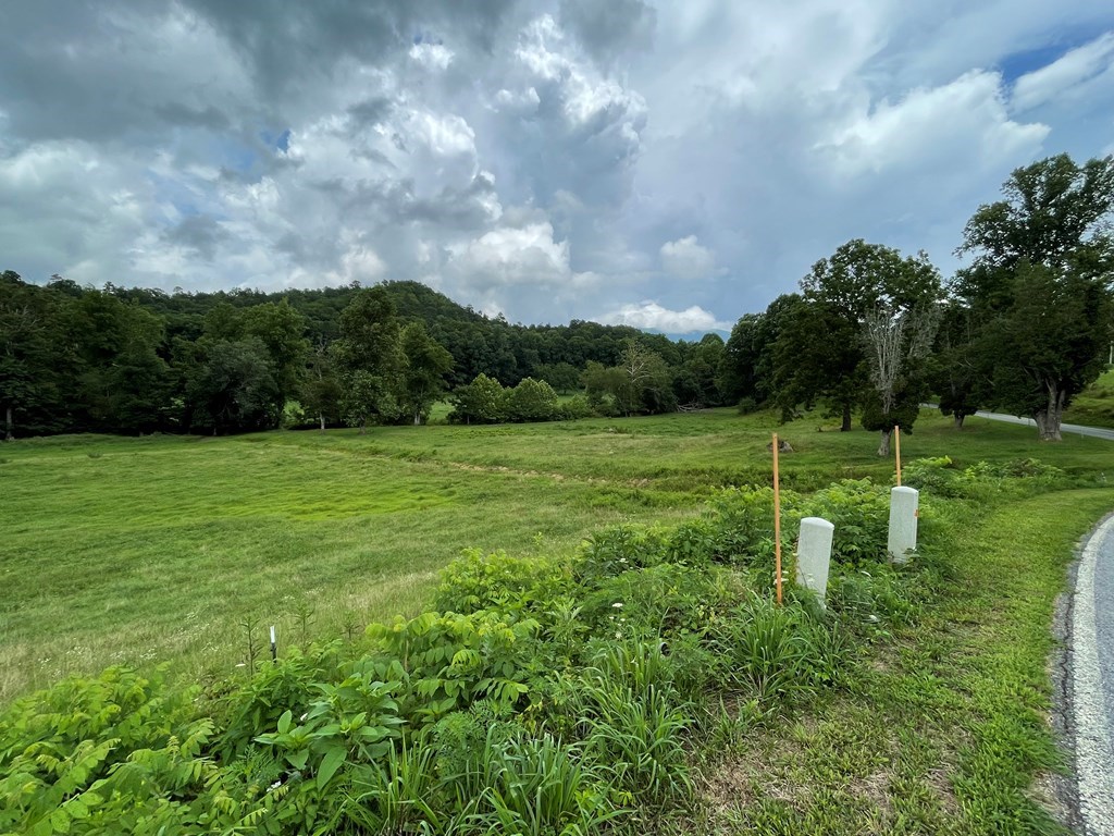 Lot 4B Eagle Fork #4B, HAYESVILLE, North Carolina image 14