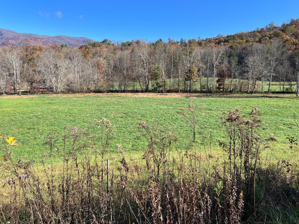 Lot 4B Eagle Fork #4B, HAYESVILLE, North Carolina image 31