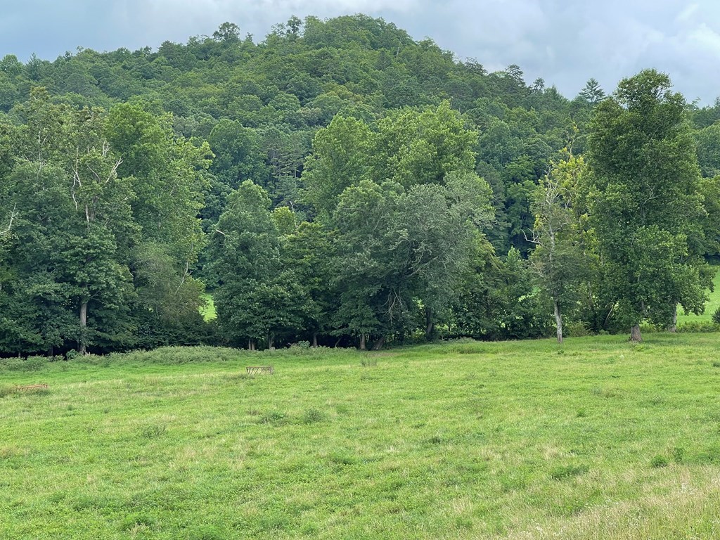 Lot 4B Eagle Fork #4B, HAYESVILLE, North Carolina image 4