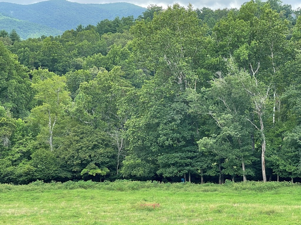 Lot 4B Eagle Fork #4B, HAYESVILLE, North Carolina image 10