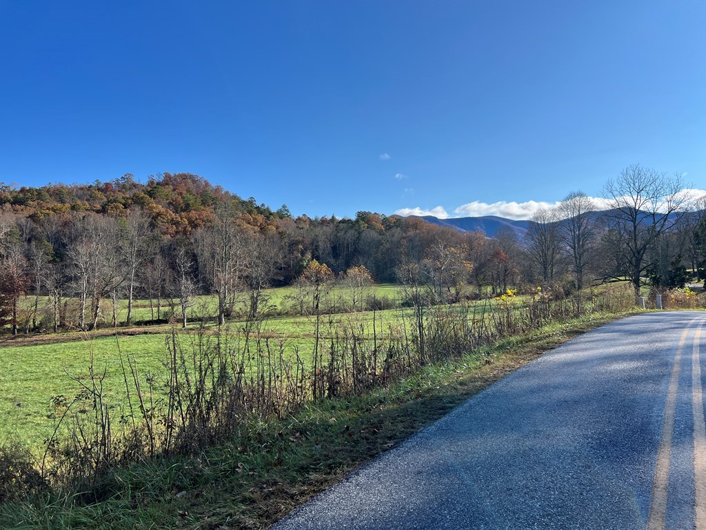 Lot 4B Eagle Fork #4B, HAYESVILLE, North Carolina image 29