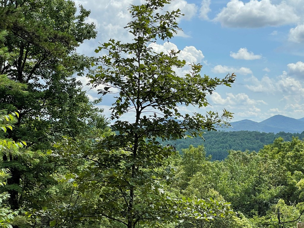 Lot 4B Eagle Fork #4B, HAYESVILLE, North Carolina image 15