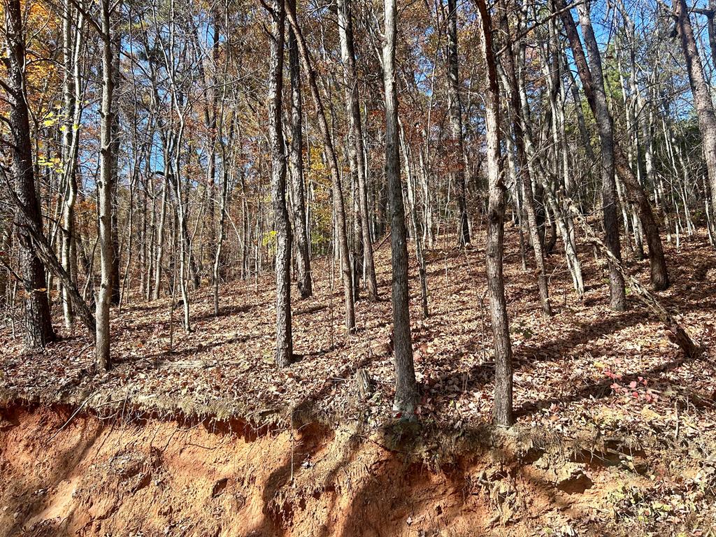 Mount Keys Drive, BRYSON CITY, North Carolina image 1